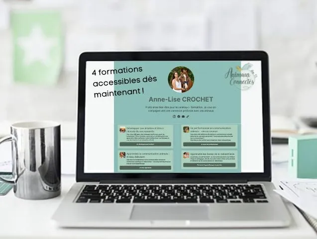 Formations en ligne
