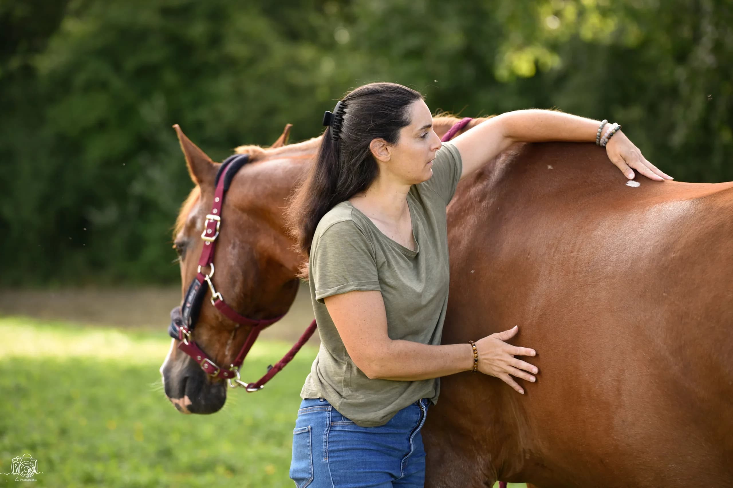 Massage cheval