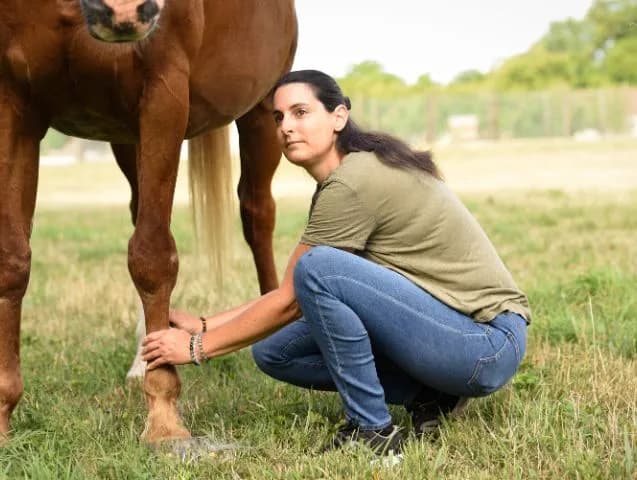 soins-bien-etre-pour-animaux