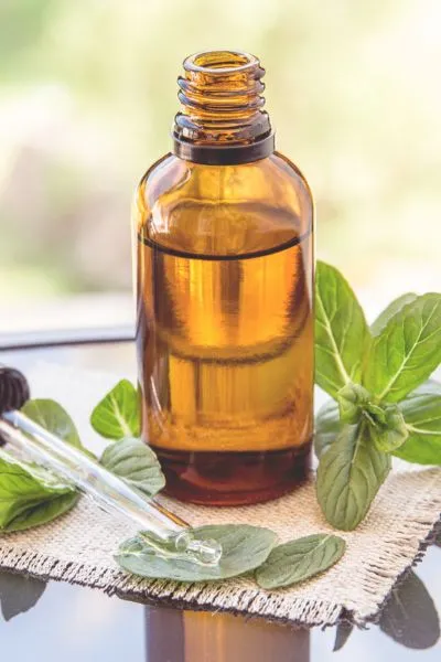 Huiles essentielles pour animaux