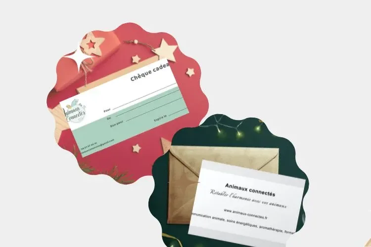 Chèque cadeau Animaux Connectés et son enveloppe