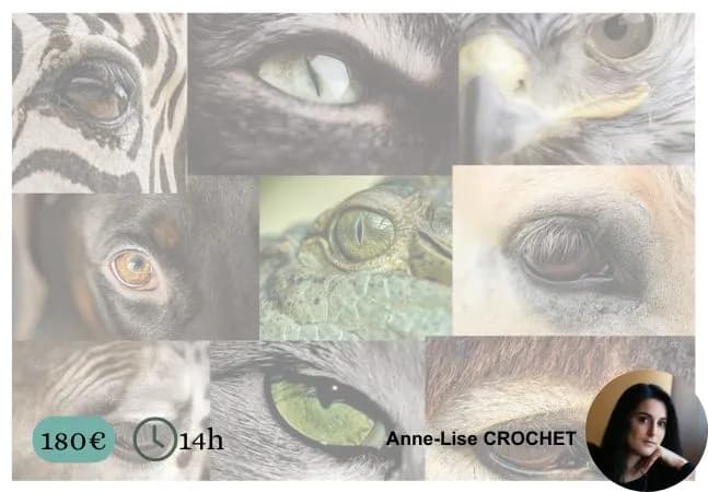 Formation communication animale