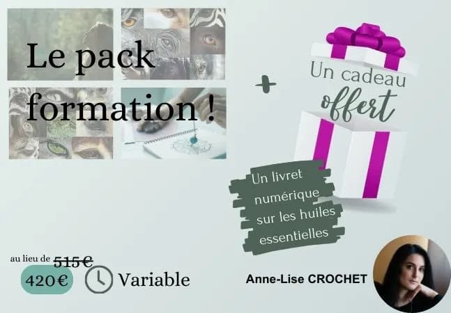 pack-formation-communication-animale